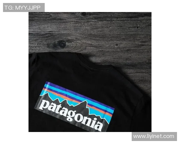 探索巴塔哥尼亚品牌的可持续发展之路与环保理念的深远影响